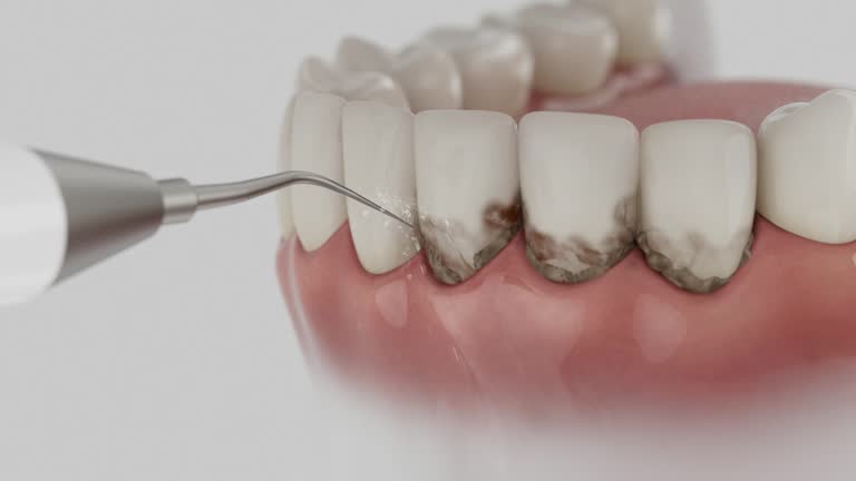 Reliable Dental contractor in Ripley, WV by Dentist Open Now